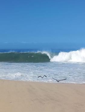 Entre o Mar e a Lagoa