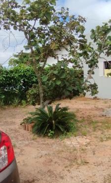 Espaço Moura