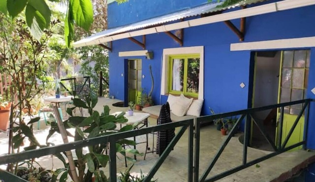 Estudio con Gran Terraza Bajo los Árboles