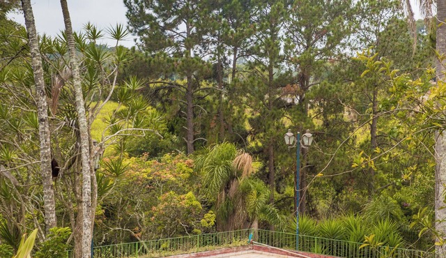 Farm in São Roque, paradise close to São Paulo! With fireplace and great trails!
