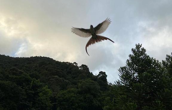 Fazenda Cachoeira, paraíso na Serra da Mantiqueira