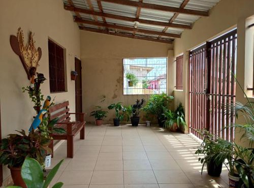 Festival de Parintins