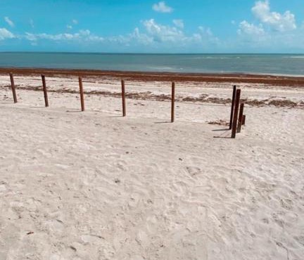 Flat beira mar - Enseada dos Golfinhos
