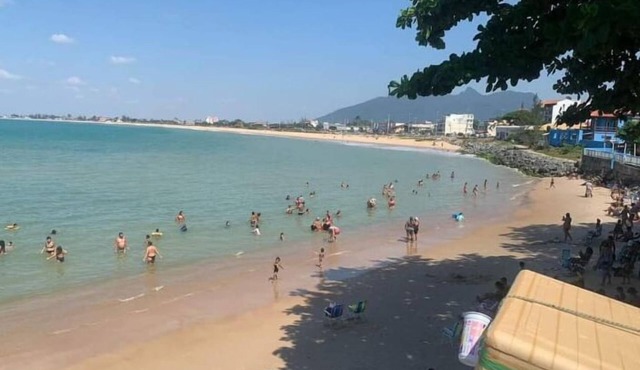 Flor do Caribe