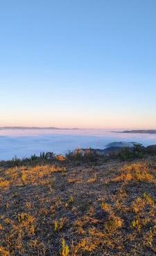 Flores da Serra Gastronomia e Turismo Rural
