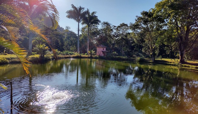 Forest Site - Santa Teresa - ES