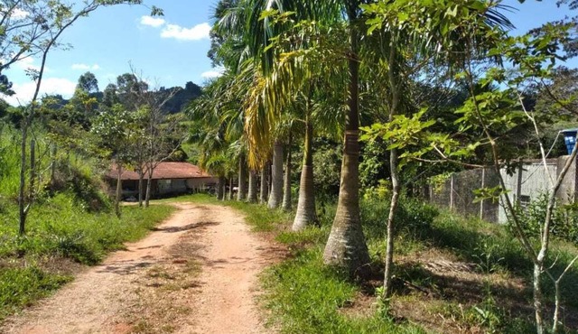 Frei Damião Farm