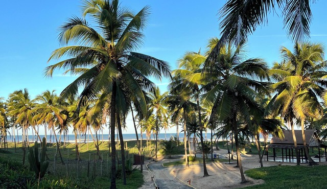 Full suite in a beachfront condominium. Swimming pools and a deserted paradise beach.
