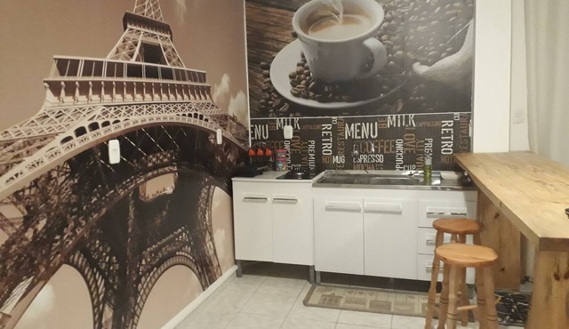 Furnished Apartment with Garage flat
