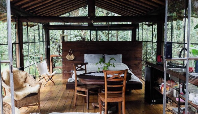 Glass Cabin surrounded by nature