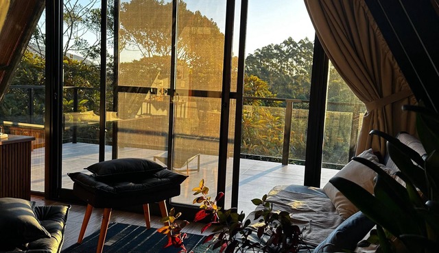Guiados Pelo Alto
