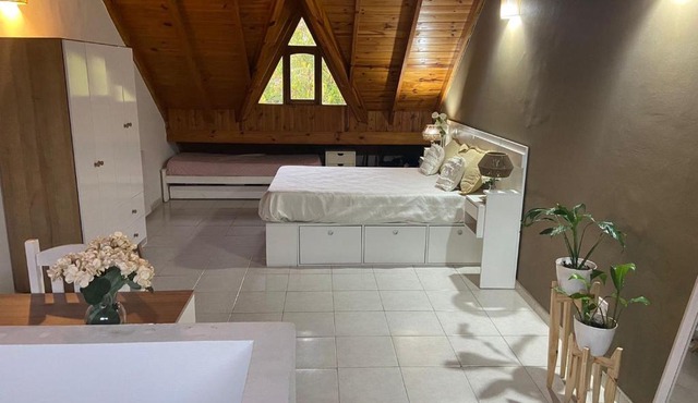 HABITACION CON CAMA DOBLE EN VILLA ADELINA