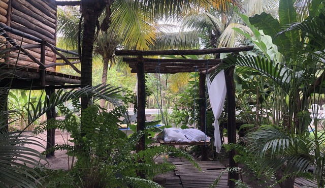 Have you thought about staying at a Casa da Arvore in Chapada Diamantina?