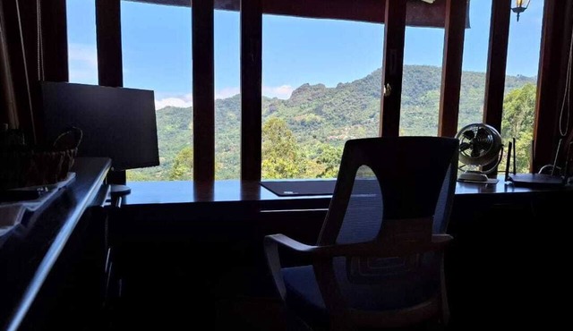 Hojarasca: Coffee & Bamboo Farm