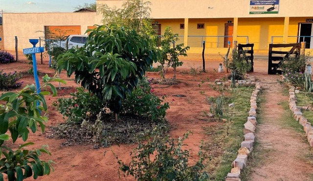 Hostel o Viveiro - Serra da Capivara - Centro Sócioambiental