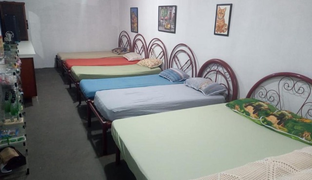 Hostel Santuário de Proteção Animal Filhos de Salomão