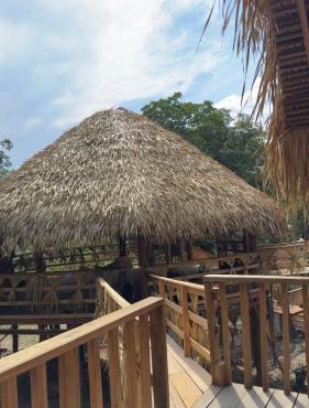 Hotel Arara Azul