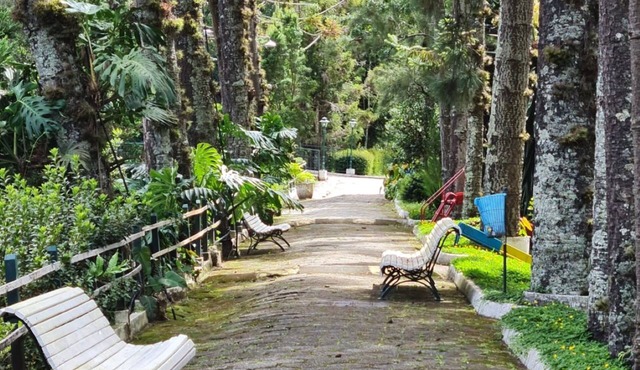 Hotel Bucsky