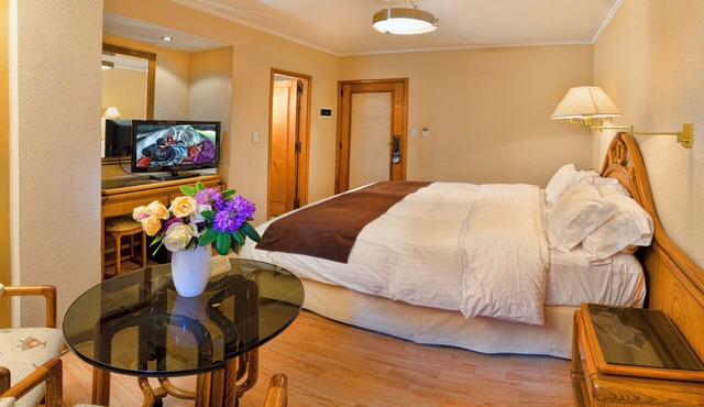 Hotel Cristal