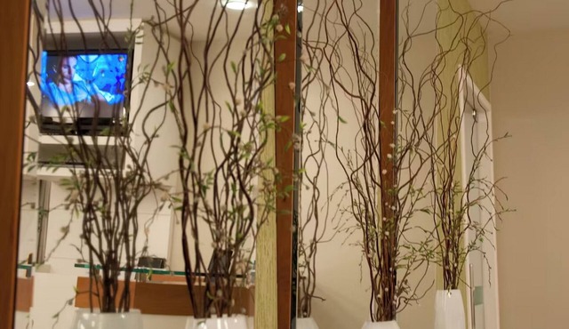 Hotel Linhatur