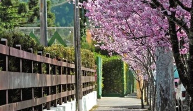 Hotel Matsubara