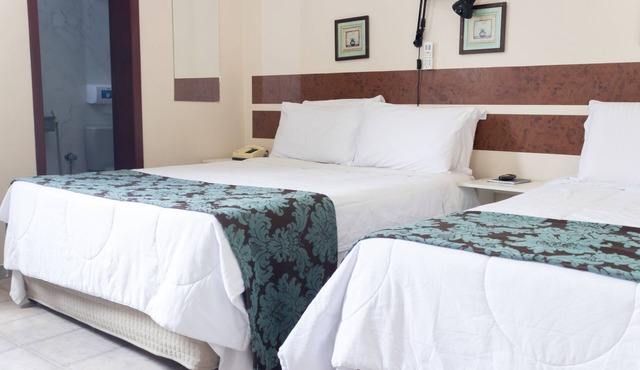 Hotel Minastur