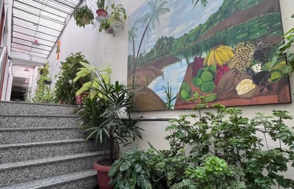 Hotel Toraryca