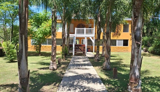 House facing the river, Tigre Delta.
