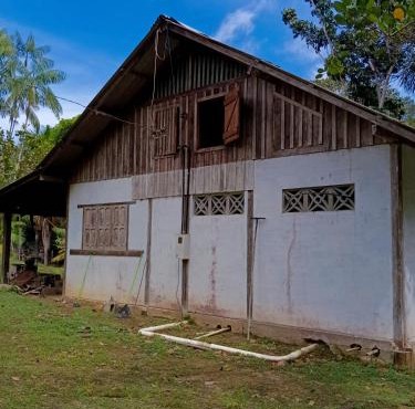 House Mari Mari