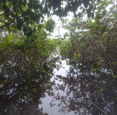 Ibira Camping