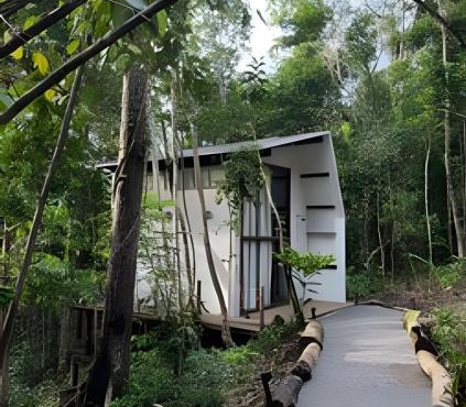 Itacaré Ecolodge - Experiencia de Imersão na Mata Atlântica