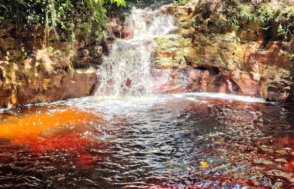Jaracuí - Experiência Amazônica