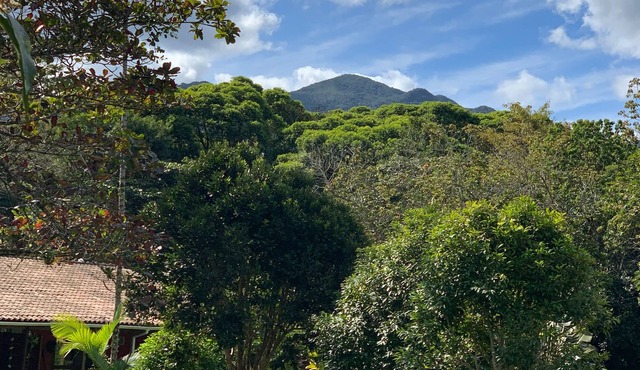 Jardim Mirim