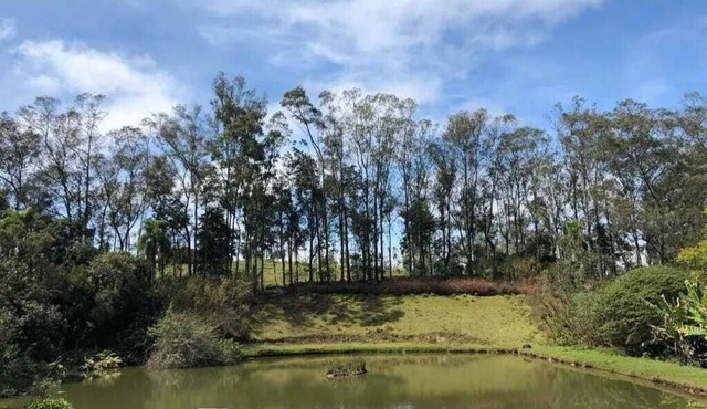 Lake with fish, stream with waterfall, swimming pool, orchard. Worth a look