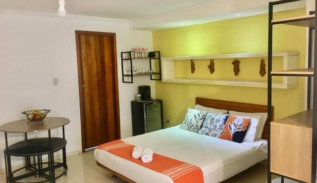 LARGE PRIVATE SUITE WITH BALCONY AND CLOSE TO THE HISTORIC CENTER. PET FRIENDLY