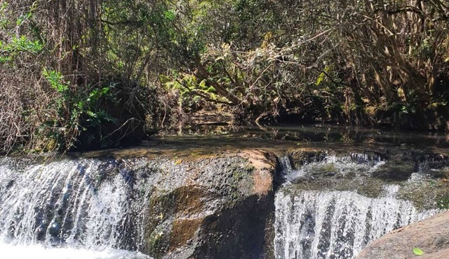 Locanda Horto Florestal Campos