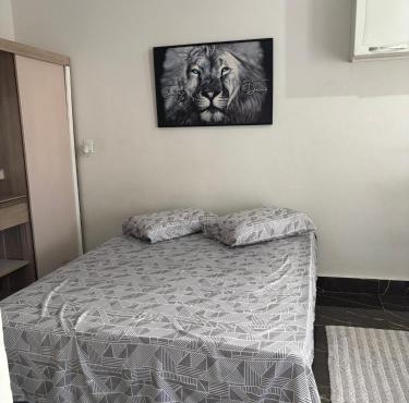 Loft 01