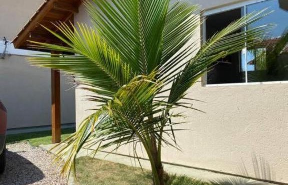Loft no Campeche Próximo à Praia!