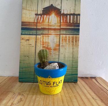 Lotus Flat - Canoa Quebrada