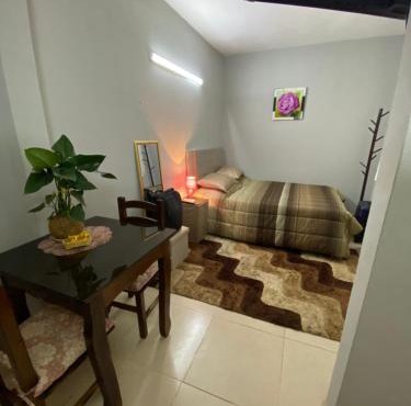 Lujoso ,cómodo MONOAMBIENTE