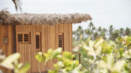 Mangal Amaniū