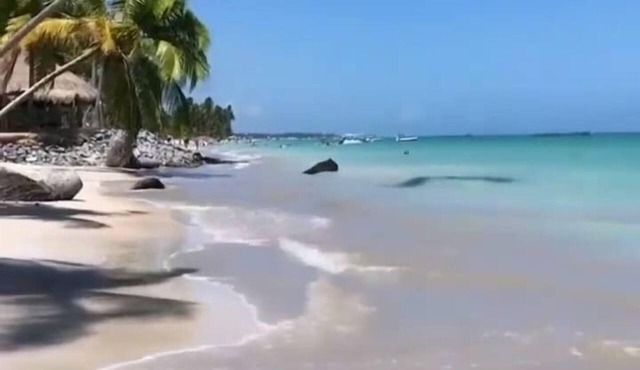 Mar Turquesa Eco Pousada