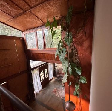 Maravilhosa Casa da Floresta