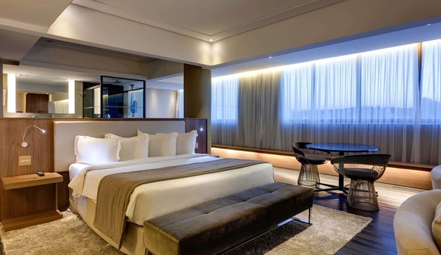 Mercure Belo Horizonte Lourdes Hotel