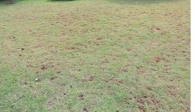 Micro Casa Perto Cataratas