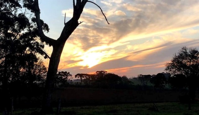 Morada do Guapuruvu - Cozy country house