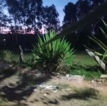 não reservar,não sei tirar daqui procure o outro aplicativo chácara lua e sol