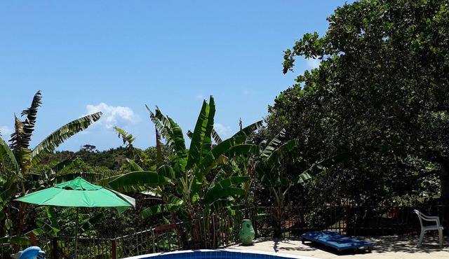 Nature View
