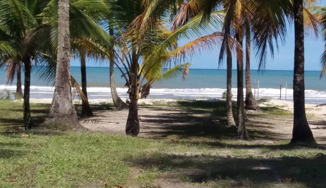 Next Sierra Grande , beaches, trihas p paradizíacas beaches, waterfall Tijuipe