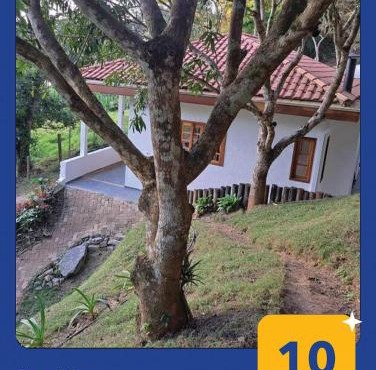 Orobó Kaá - entre a floresta e a vida no campo